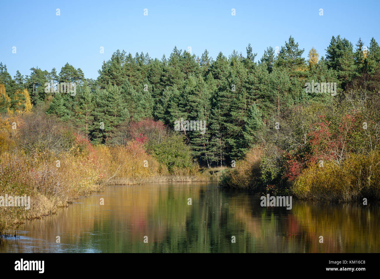 lake with water reflections in colorful autumn day with white clouds in ...