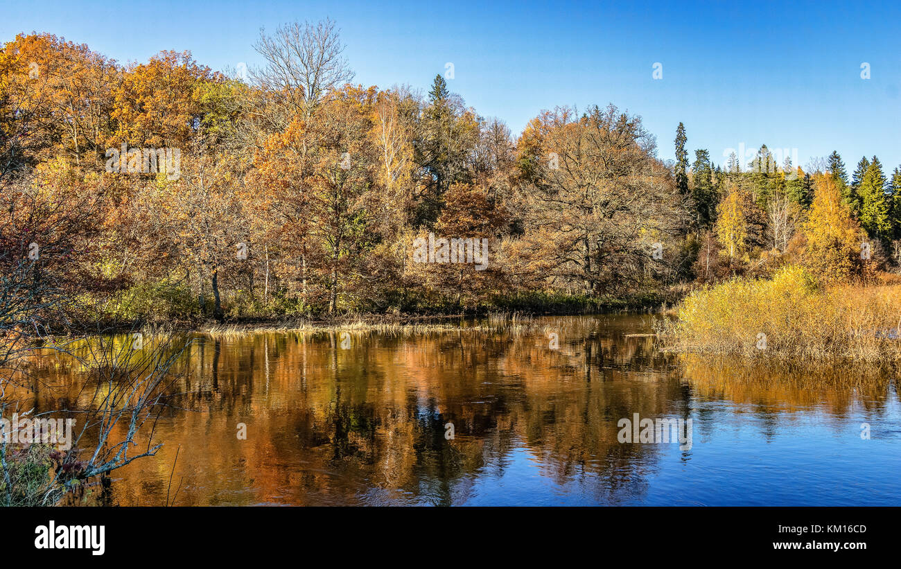 lake with water reflections in colorful autumn day with white clouds in ...