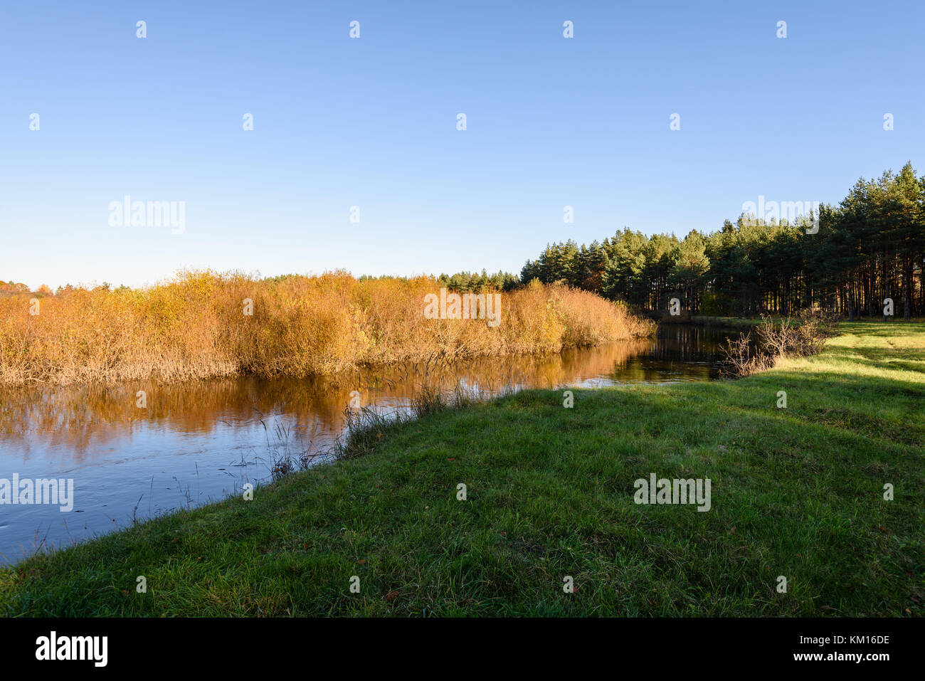 lake with water reflections in colorful autumn day with white clouds in ...