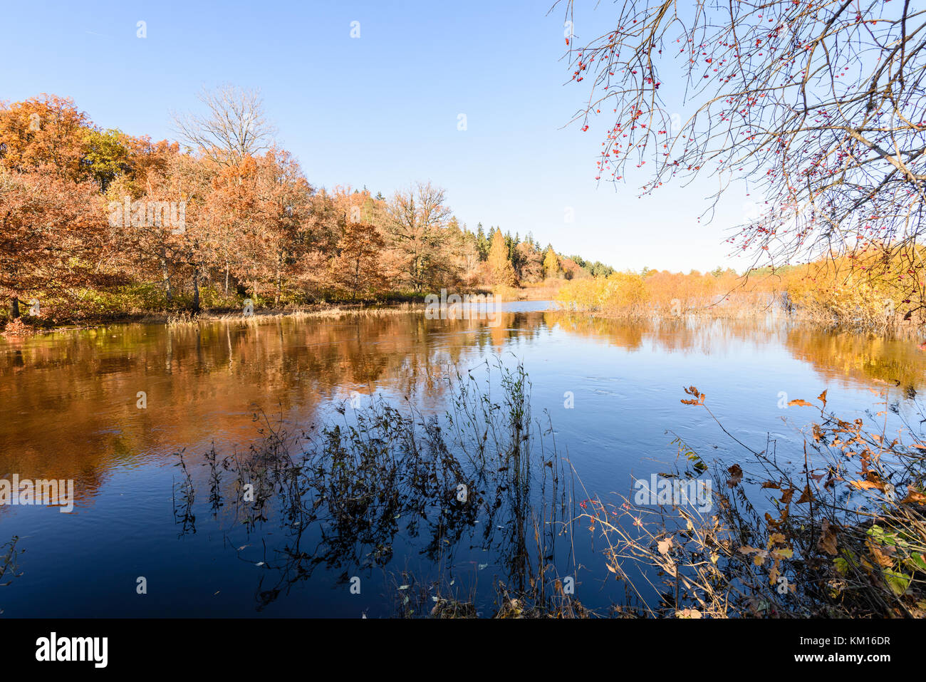 lake with water reflections in colorful autumn day with white clouds in ...