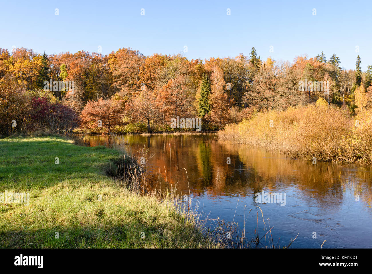 lake with water reflections in colorful autumn day with white clouds in ...