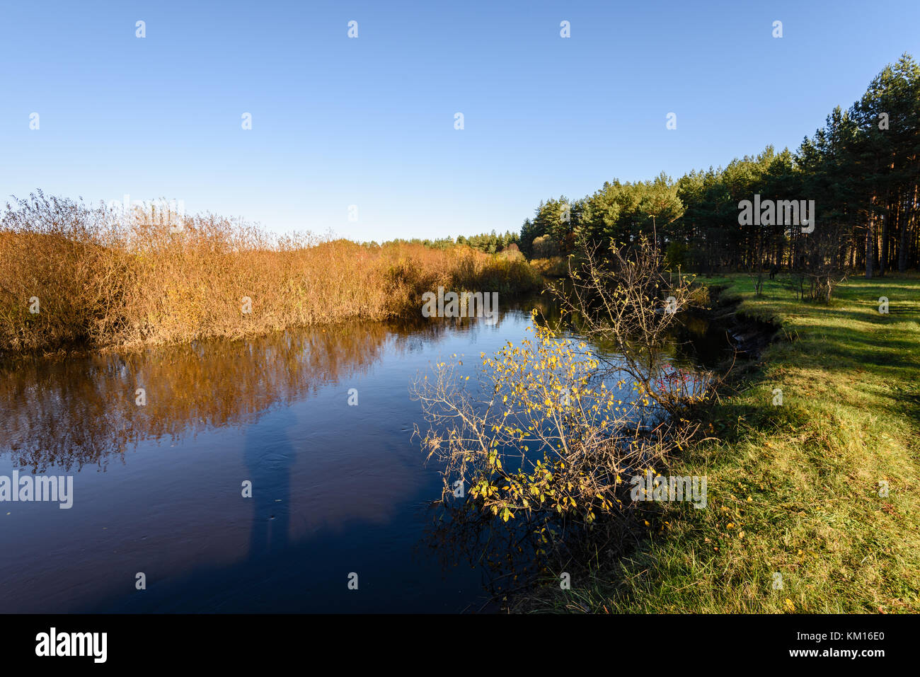 lake with water reflections in colorful autumn day with white clouds in ...