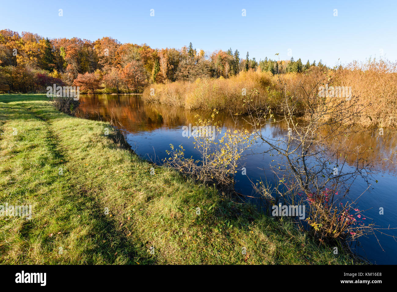 lake with water reflections in colorful autumn day with white clouds in ...