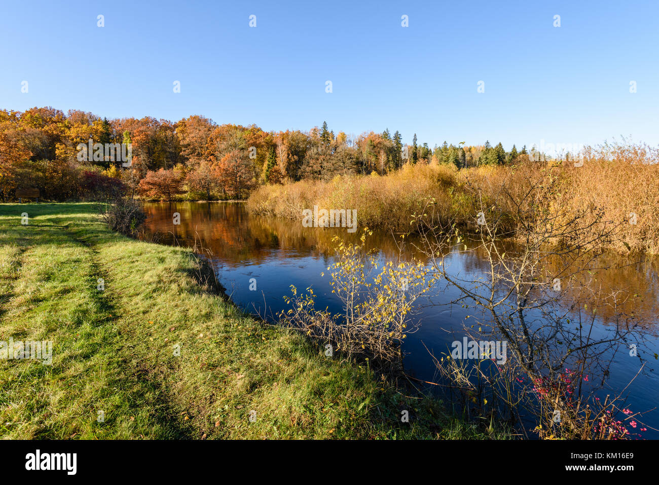 lake with water reflections in colorful autumn day with white clouds in ...