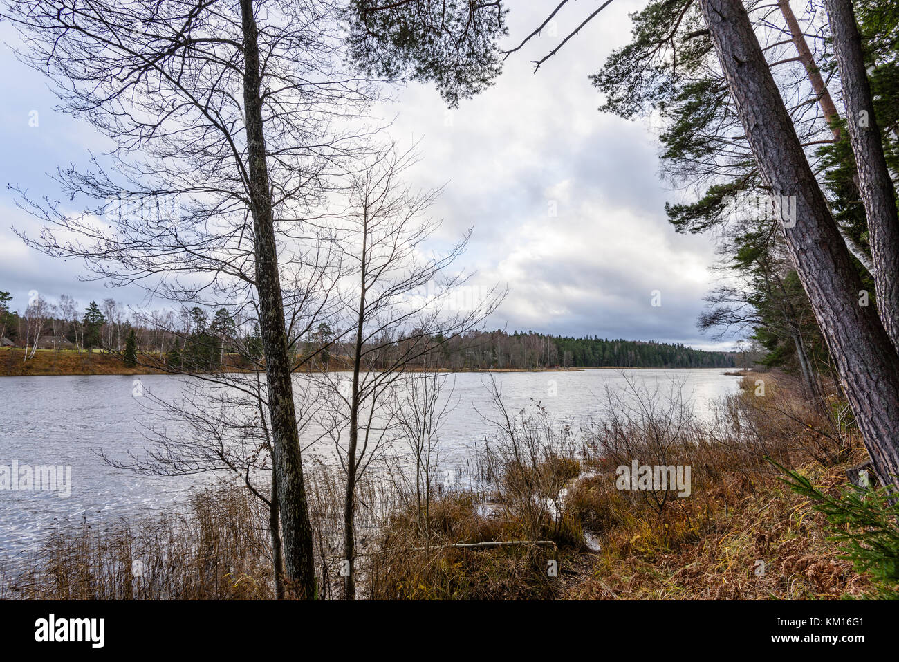 lake with water reflections in colorful autumn day with white clouds in ...