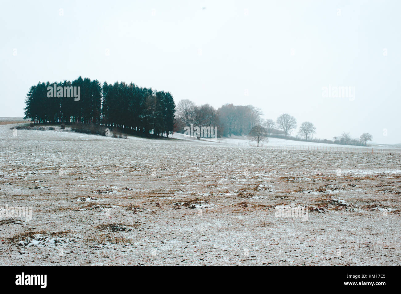 Winter landscape fields in snow, Luxembourg Stock Photo