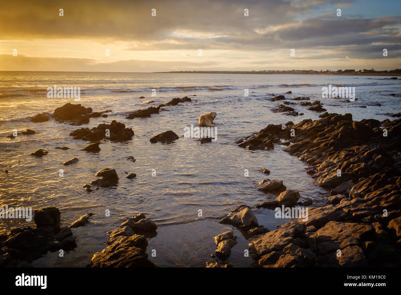 Newton Beach near Porthcawl at sunset, South Wales Stock Photo Alamy