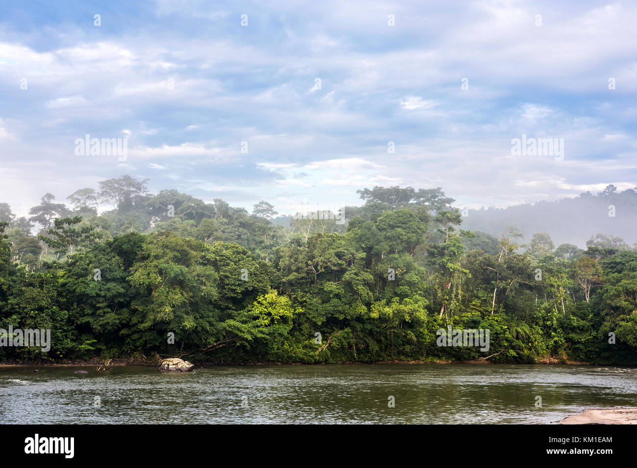 Amazonian rainforest. Misahualli River. Napo province, Ecuador Stock ...