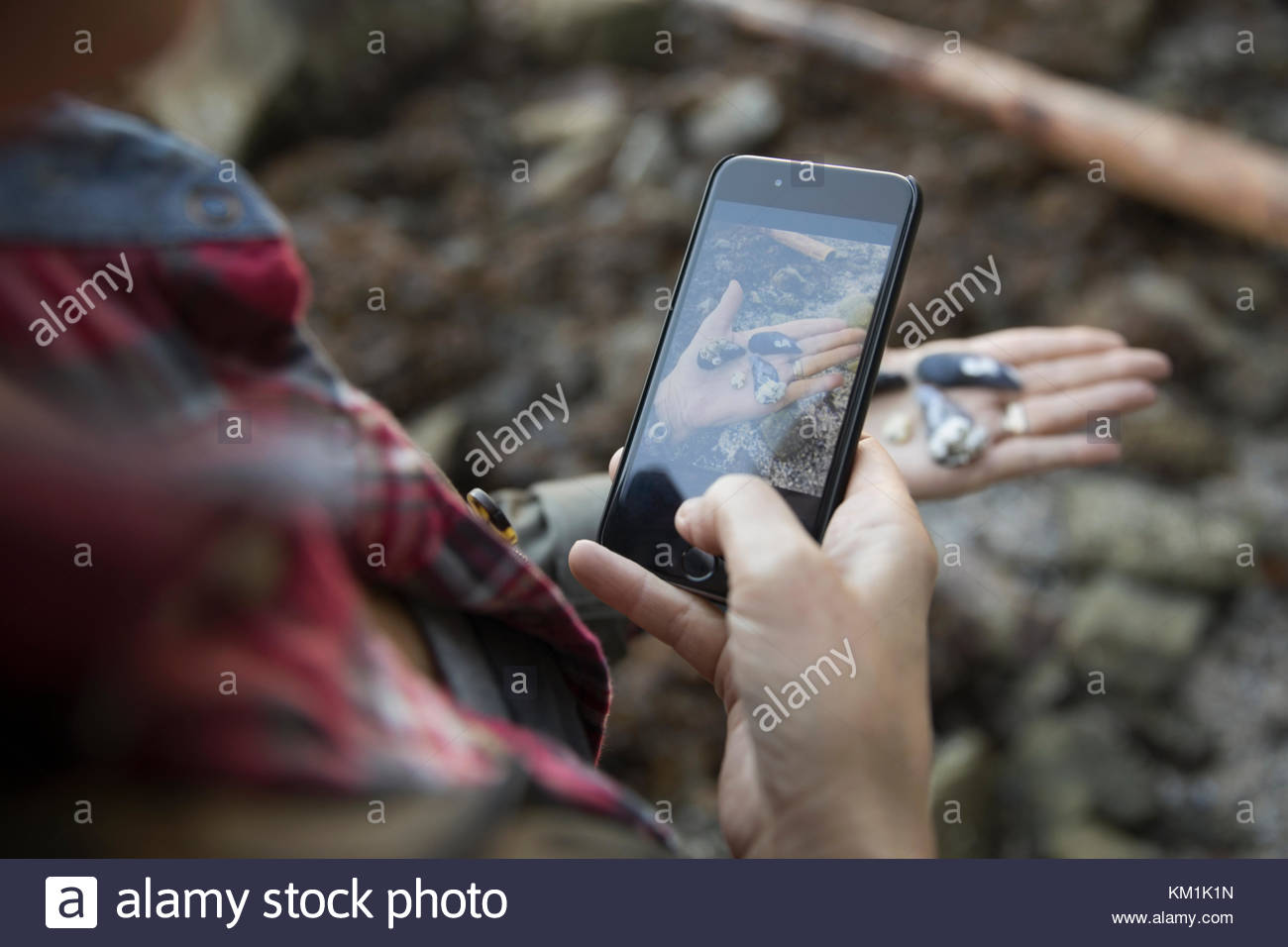 Woman with camera phone photographing stones Stock Photo