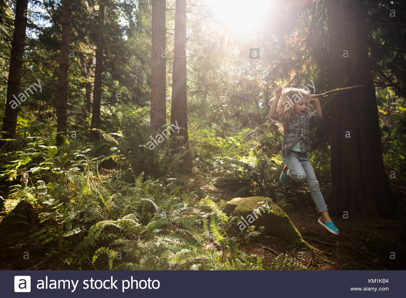Exuberant girl jumping off rock in sunny woods below trees Stock Photo