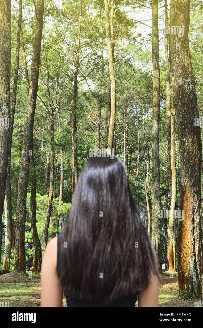 Photograph of girl's back in the forest Stock Photo