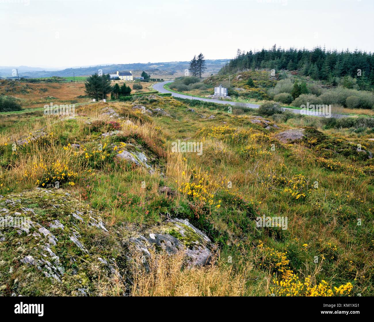 Ambush firing positions and memorial. Kilmichael, Co. Cork, Ireland. 1920 IRA attack RIC Auxiliaries. Irish War of Independence Stock Photo