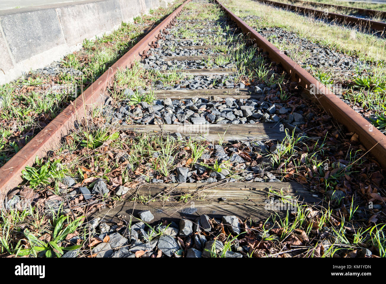 rusty rails with wooden sleepers and encroaching vegetation Stock Photo ...