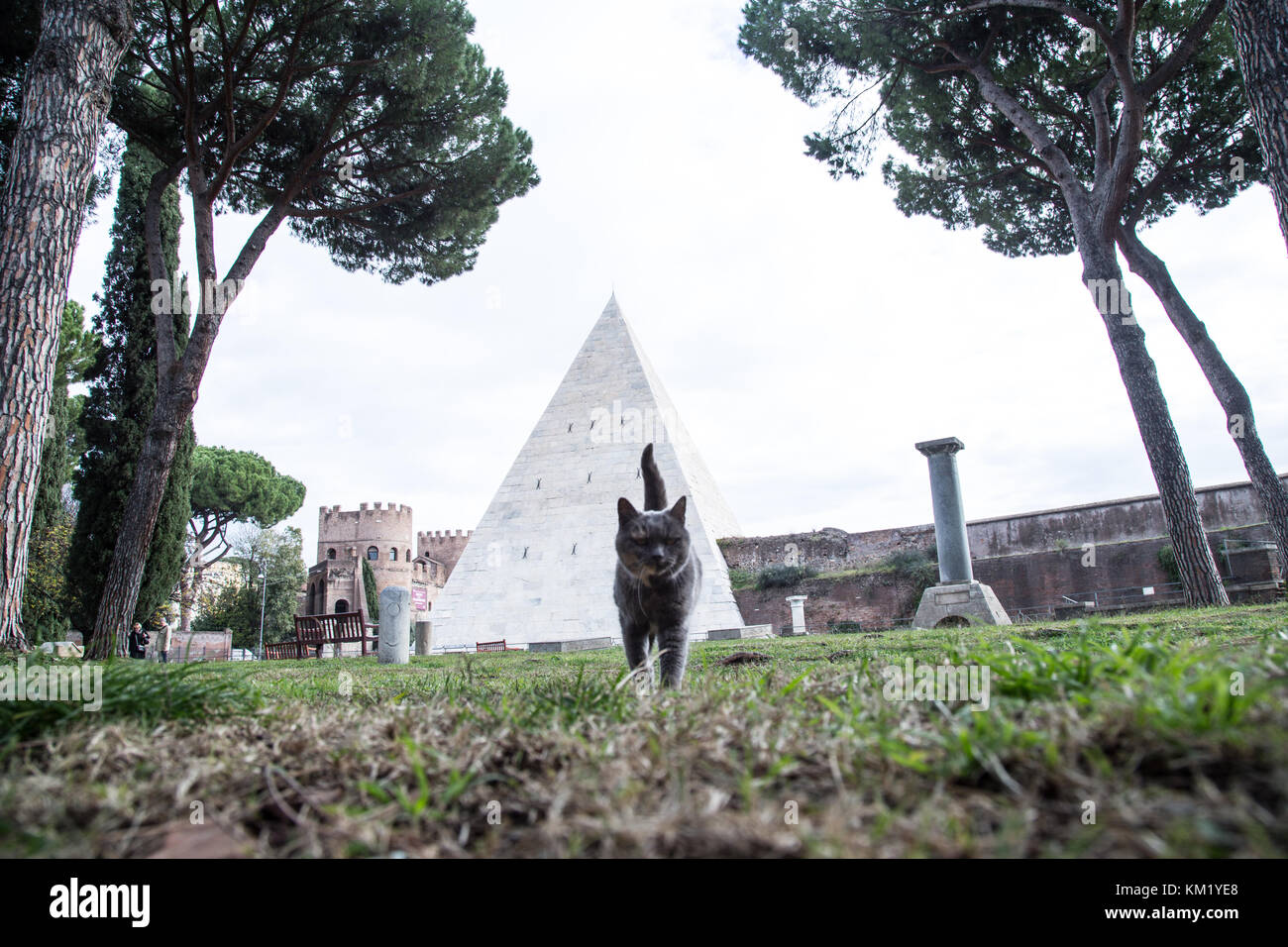 Roma, Italy. 02nd Dec, 2017. Colony of the pyramid's cats, present in Rome in the Ostiense area inside the non-Catholic cemetery. Credit: Matteo Nardone/Pacific Press/Alamy Live News Stock Photo