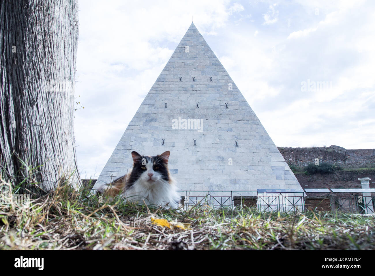 Roma, Italy. 02nd Dec, 2017. Colony of the pyramid's cats, present in Rome in the Ostiense area inside the non-Catholic cemetery. Credit: Matteo Nardone/Pacific Press/Alamy Live News Stock Photo