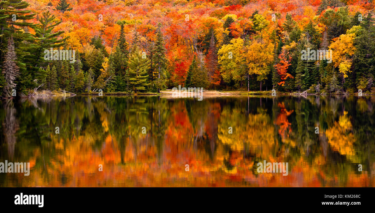 Stunning fall color reflected in the still water of Canisbay Lake ...