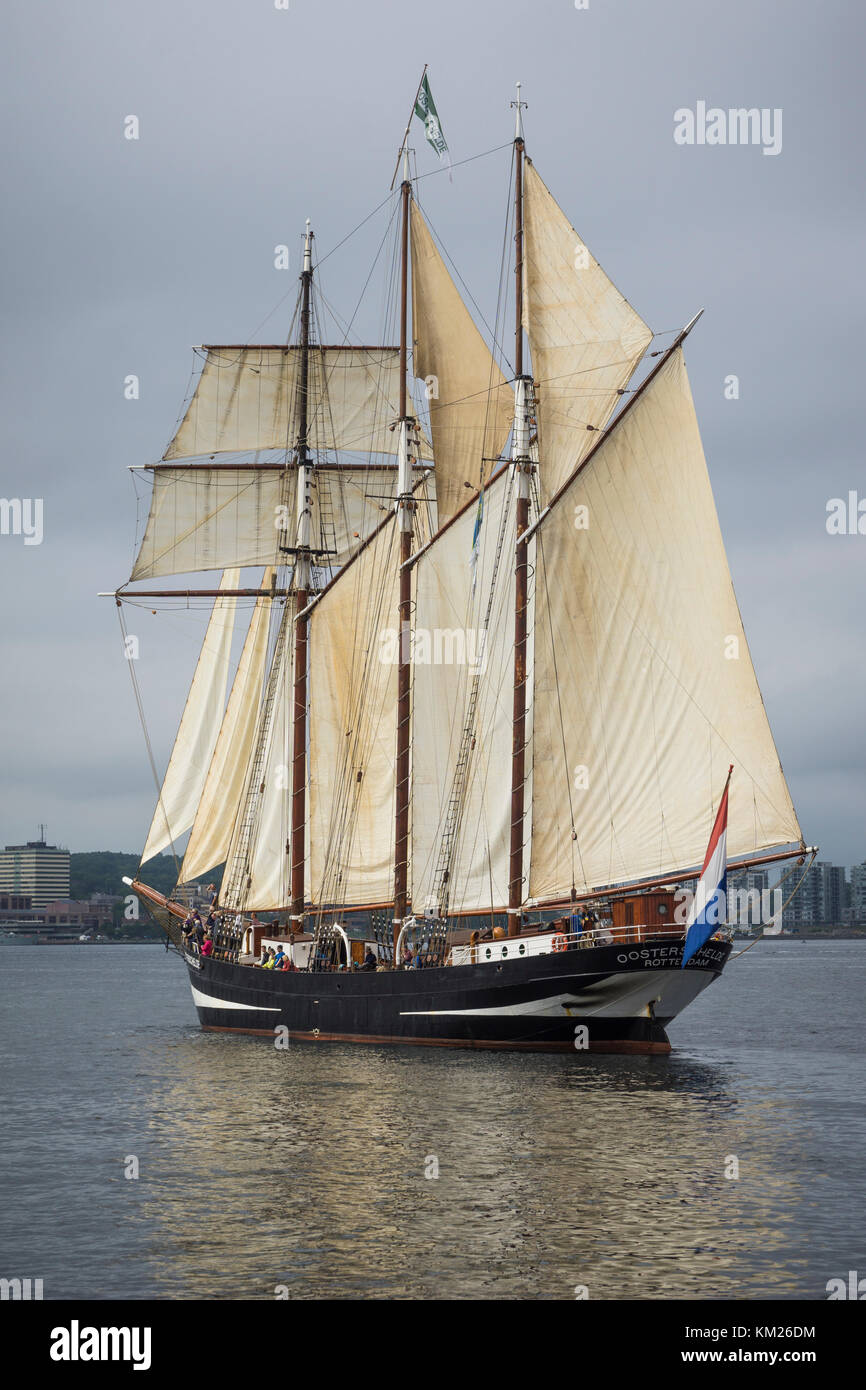 Dutch 3masted schooner "Oosterschelde" sailing in the harbour of