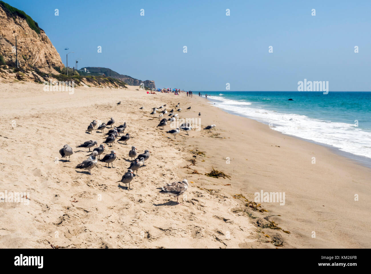 Zuma Beach Reviews