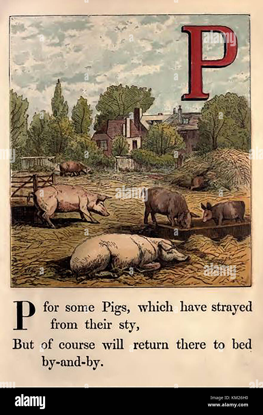 An historic  coloured Victorian children's ABC book illustration - P is for pigs on an English farm Stock Photo