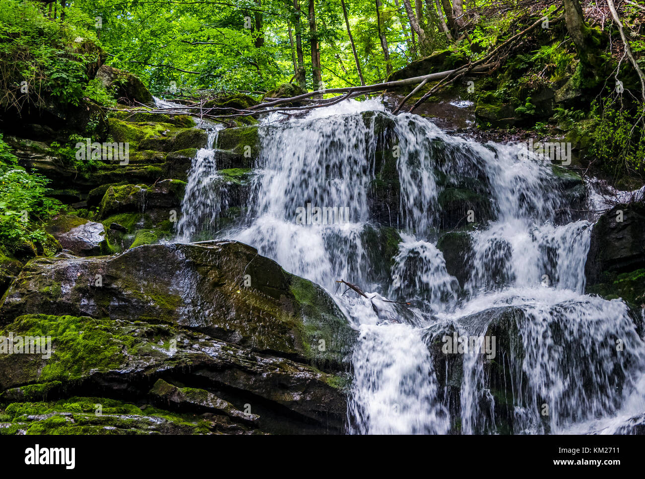 Cascading waterfall of a mountain stream in the Carpathians 4709528 Stock  Photo at Vecteezy