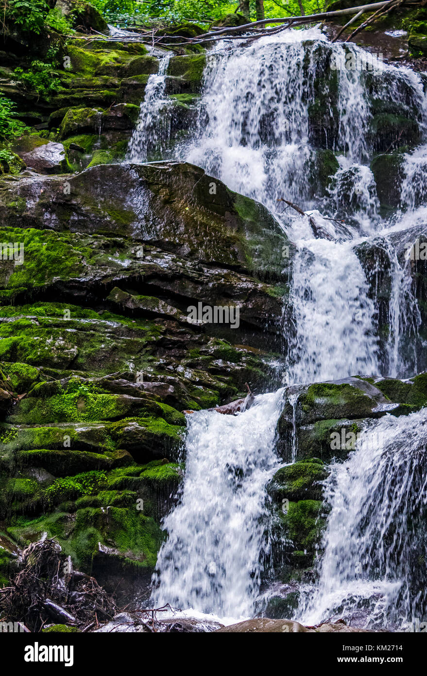 Great waterfall Shypit in Carpathian mountains. beautiful and fresh summer nature scenery Stock Photo