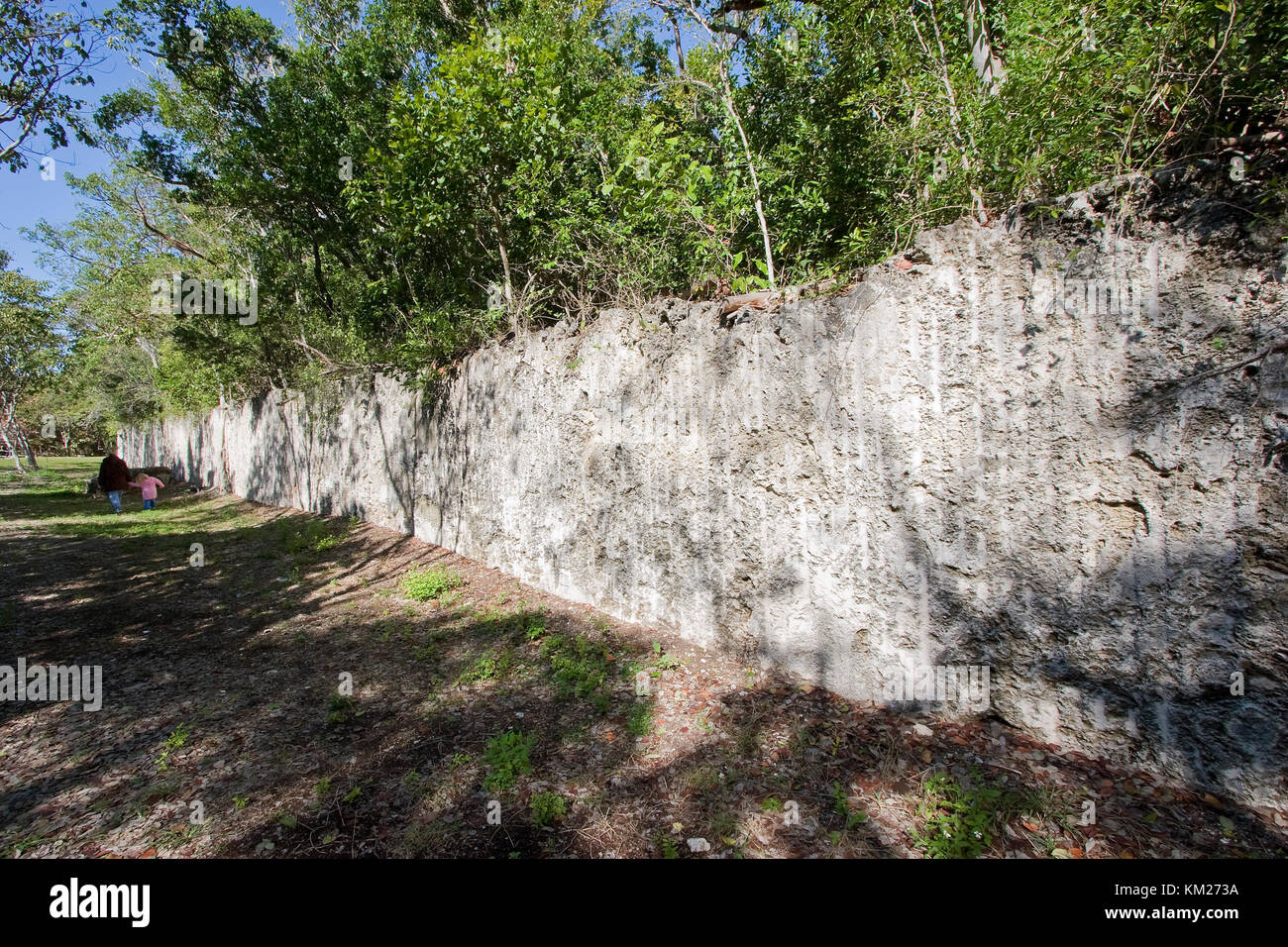 Top 84+ imagen windley key fossil reef geological state park Abzlocal.mx