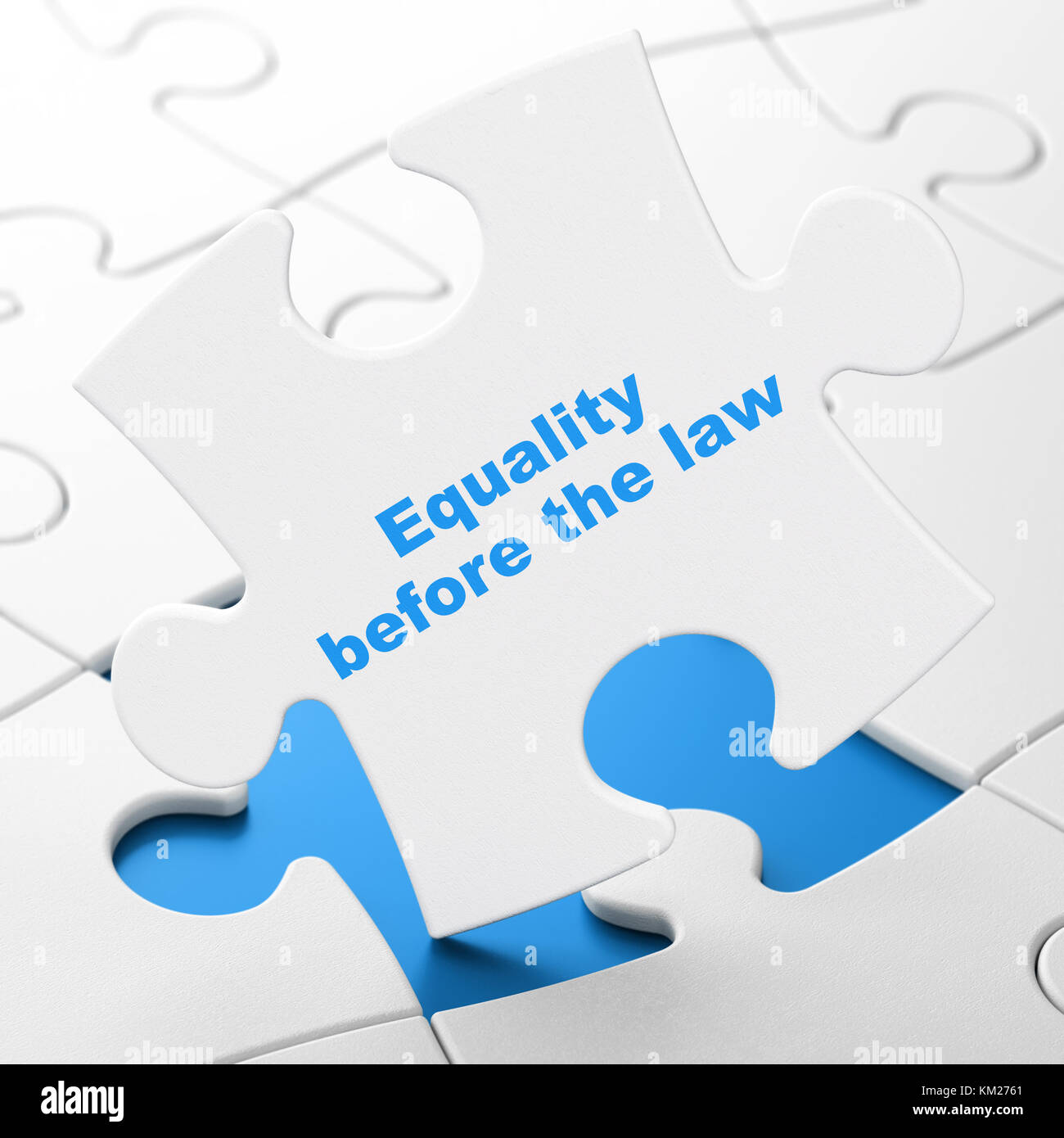 CONCEPT OF EQUALITY BEFORE LAW visual data 8