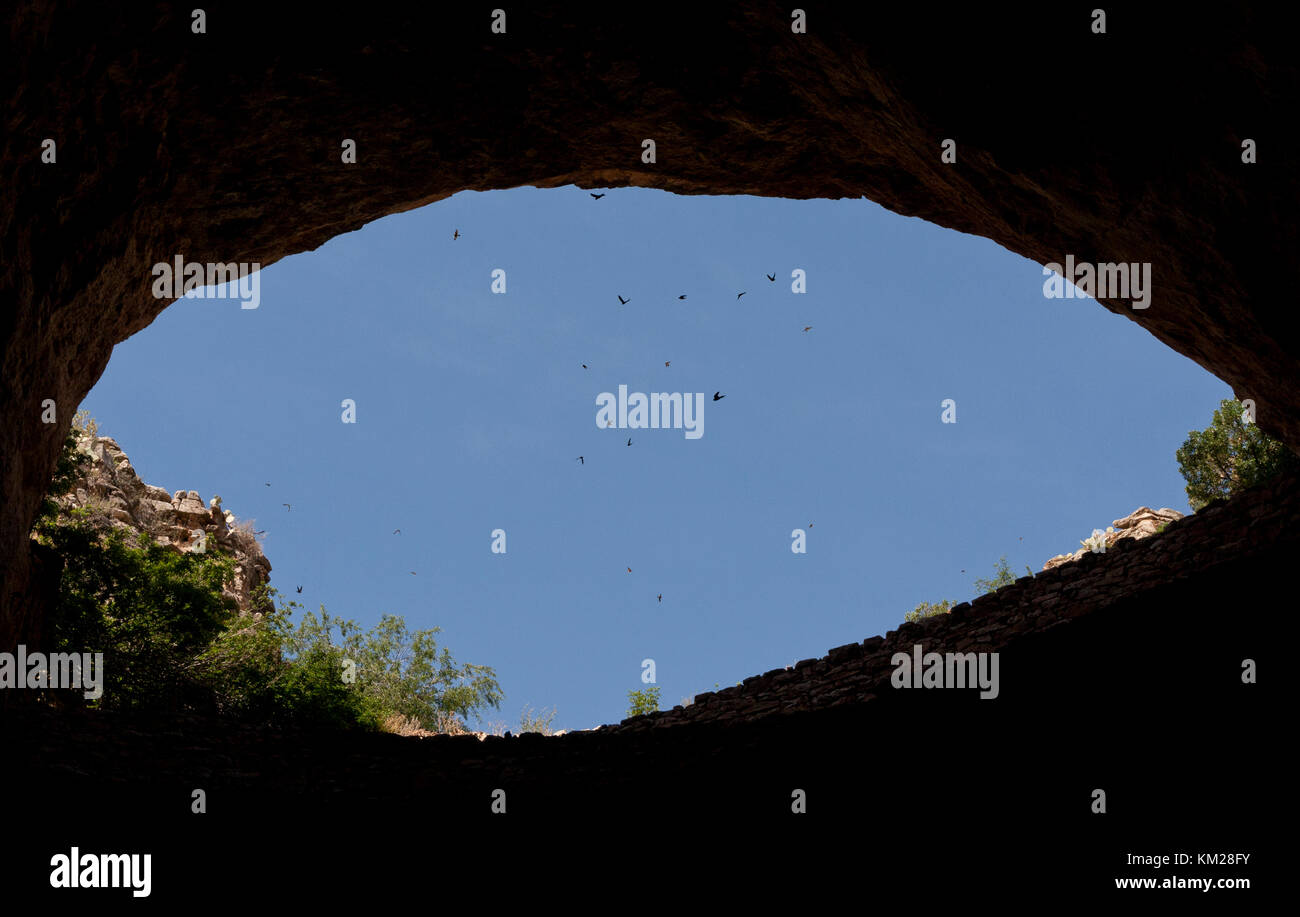 Bats flying around the entrance hole leading to Carlsbad Caverns in New Mexico, USA Stock Photo