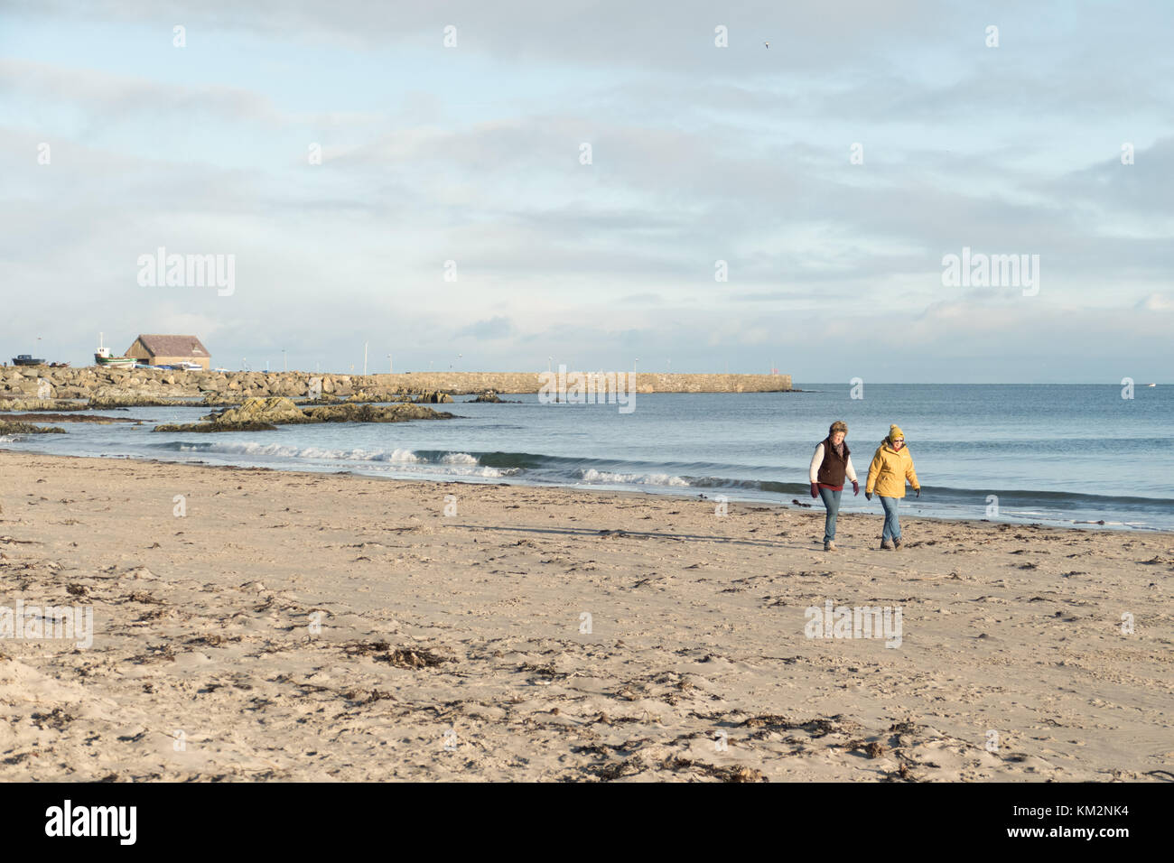 Ballywalter, Co Down, N Ireland, UK. 4th Dec, 2017. Weather news. A perfect morning to walk the dogs on the beautiful beaches in County Down Northern Ireland this morning.copyright Credit: gary telford/Alamy Live News Stock Photo