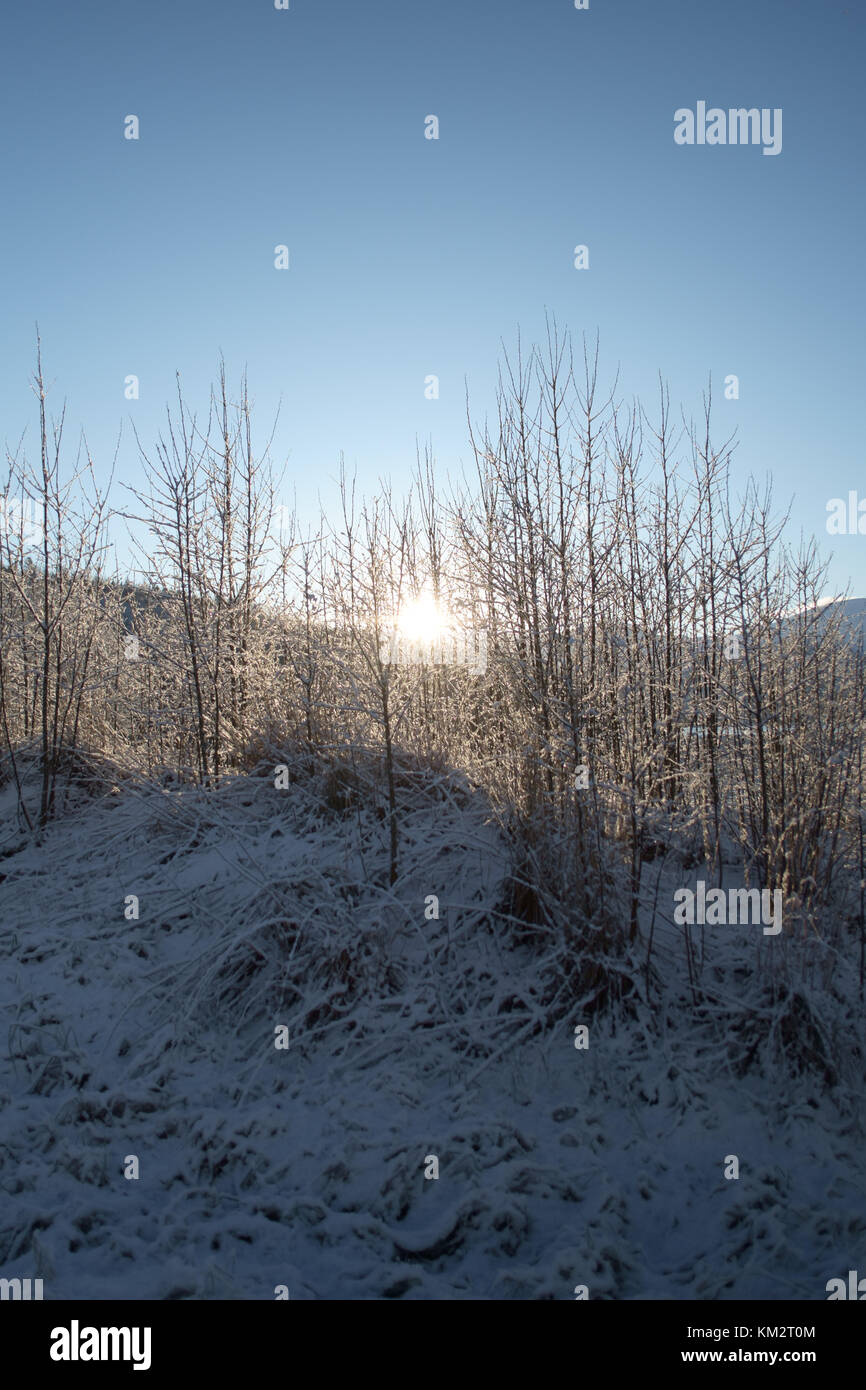 Snowy countryside backlit setting hi-res stock photography and images ...