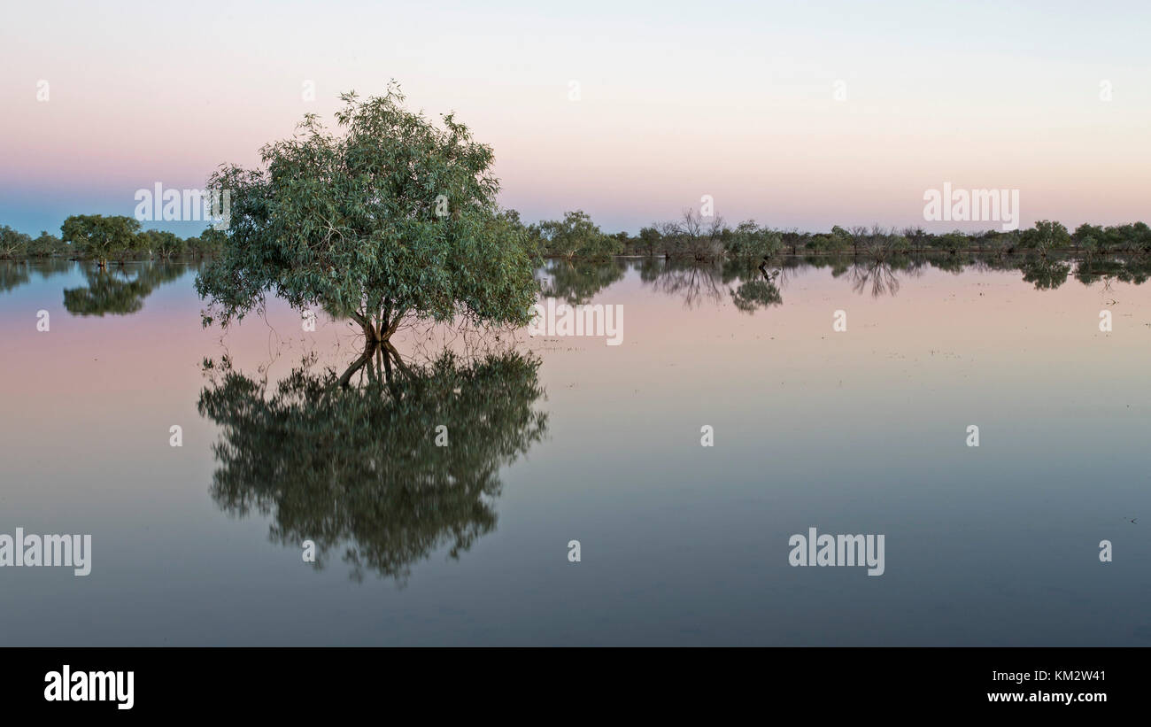 Dawn Glow over Lake Cohen in the Gibson Desert, Western Australia