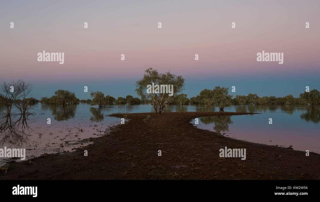 Dawn Glow over Lake Cohen in the Gibson Desert, Western Australia