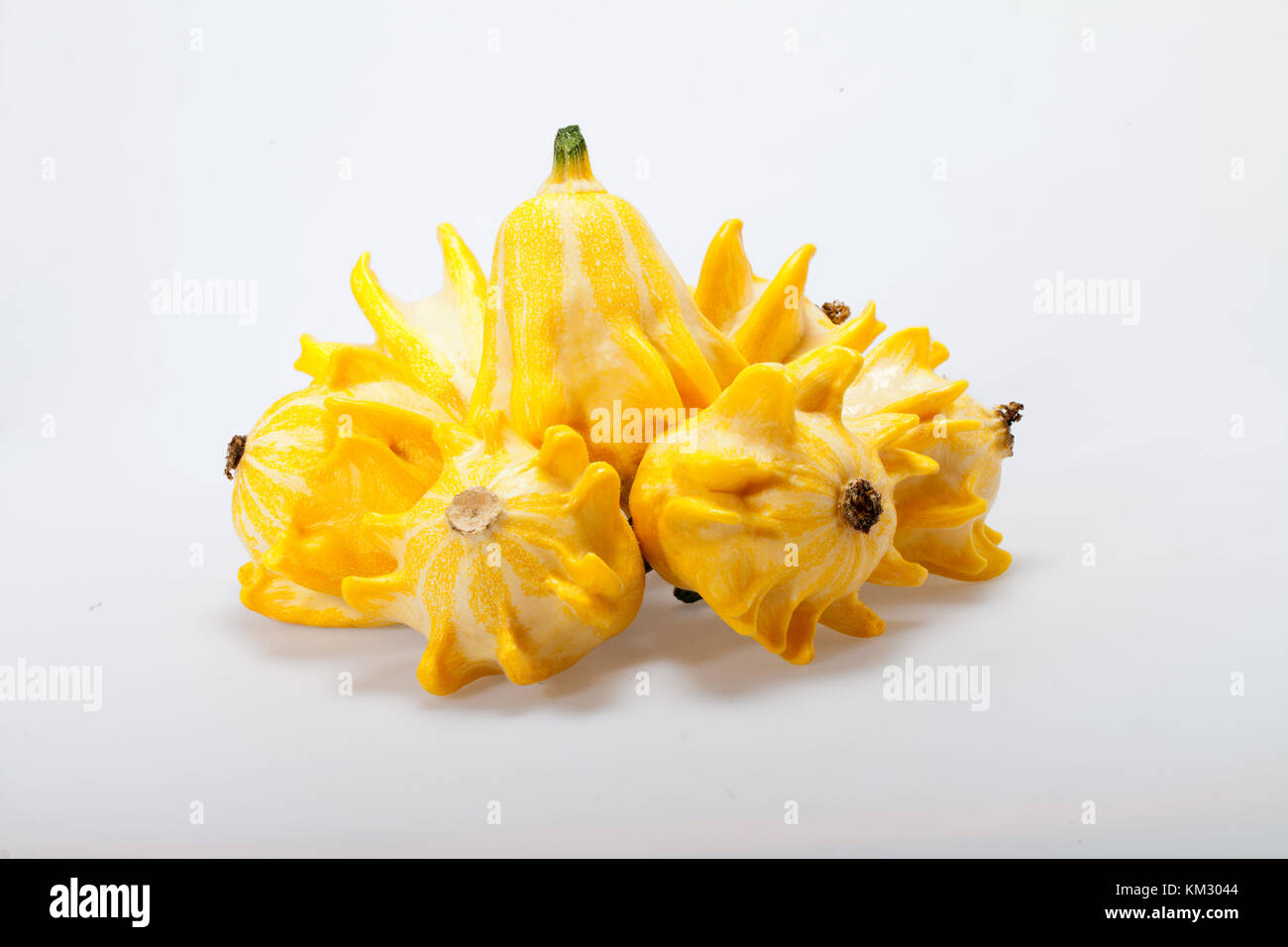 Decorative pumpkin isolated on white background Stock Photo - Alamy