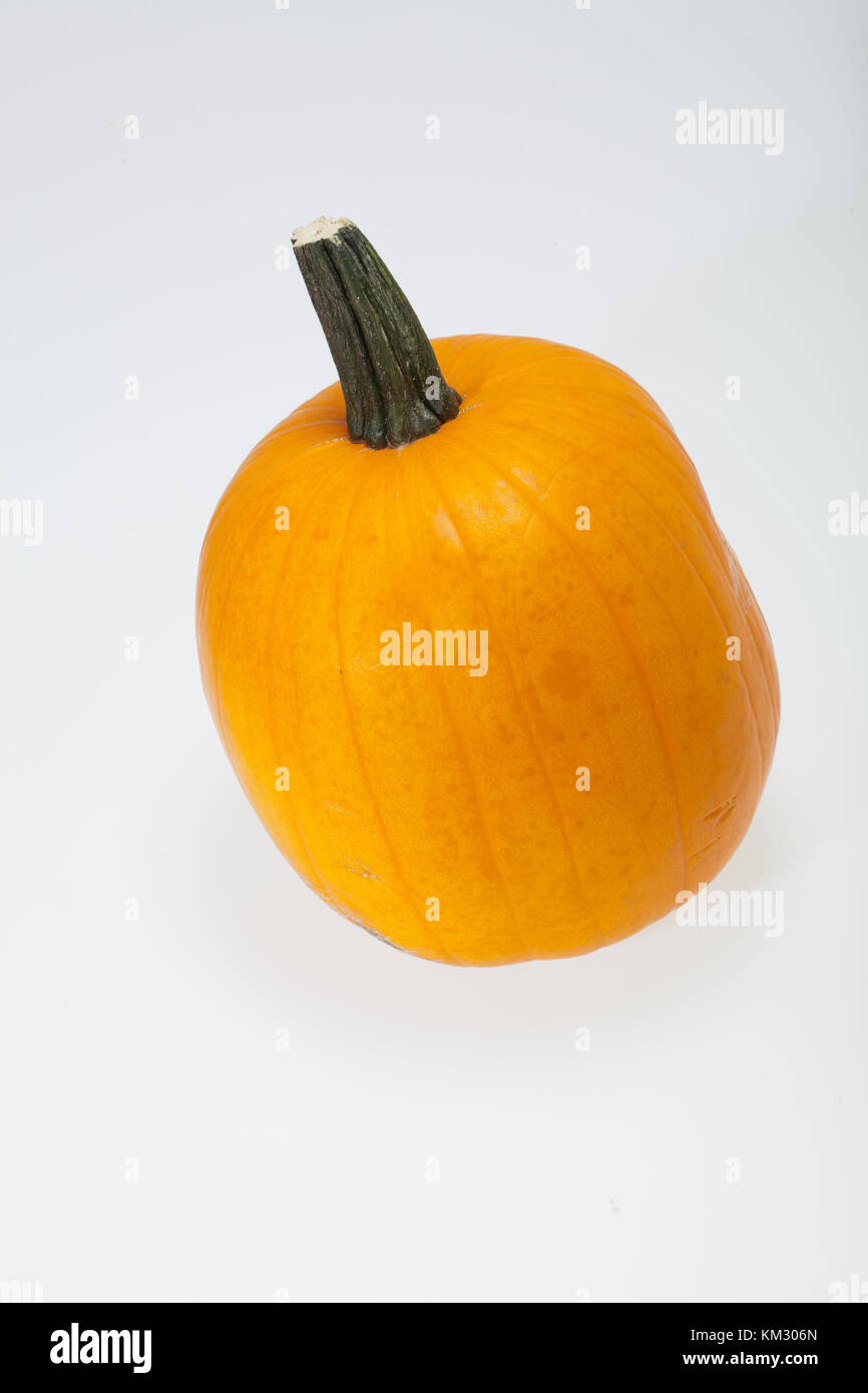 Fresh orange pumpkin isolated on white background Stock Photo - Alamy