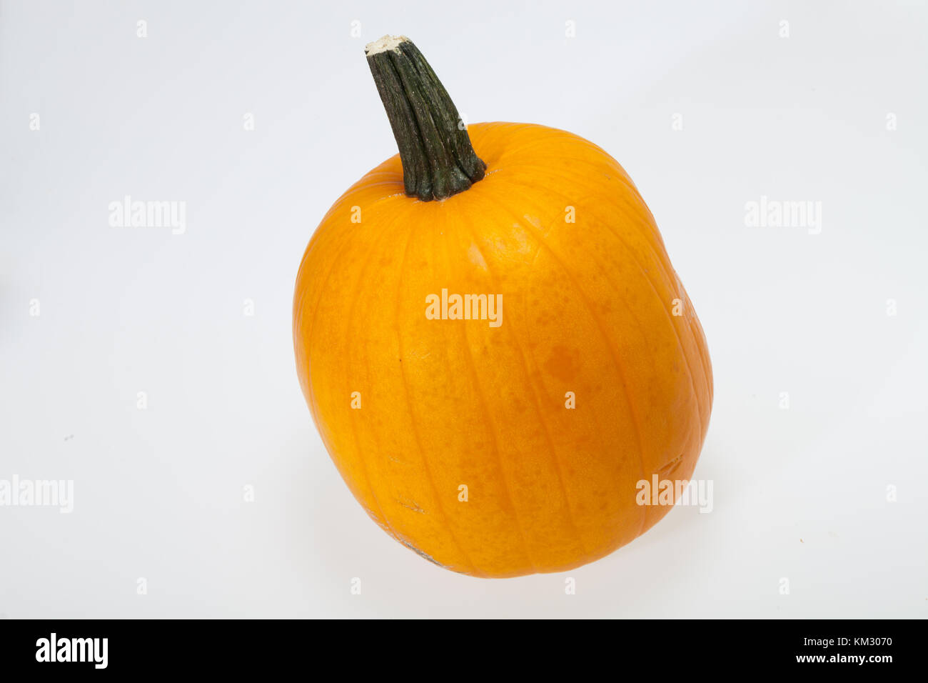 Fresh orange pumpkin isolated on white background Stock Photo - Alamy