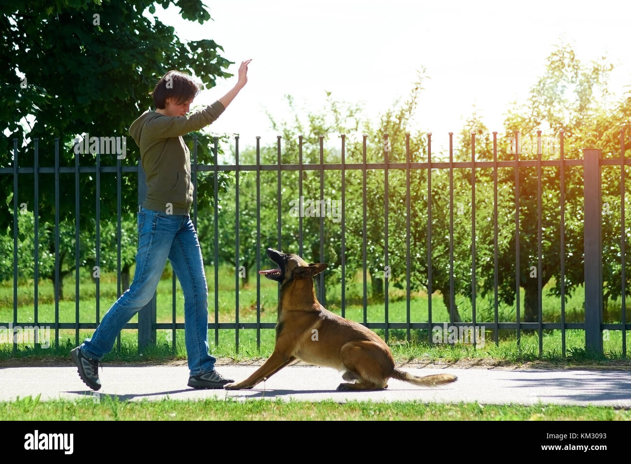 The woman is raising her right hand up to make her dog jump Stock Photo Alamy