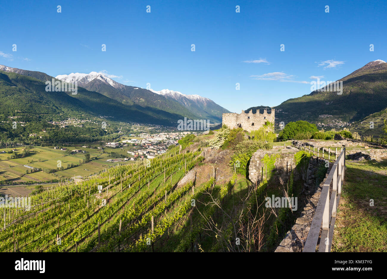 Castle of Grumello and vineyards in Valtellina - Province of Sondrio Stock Photo