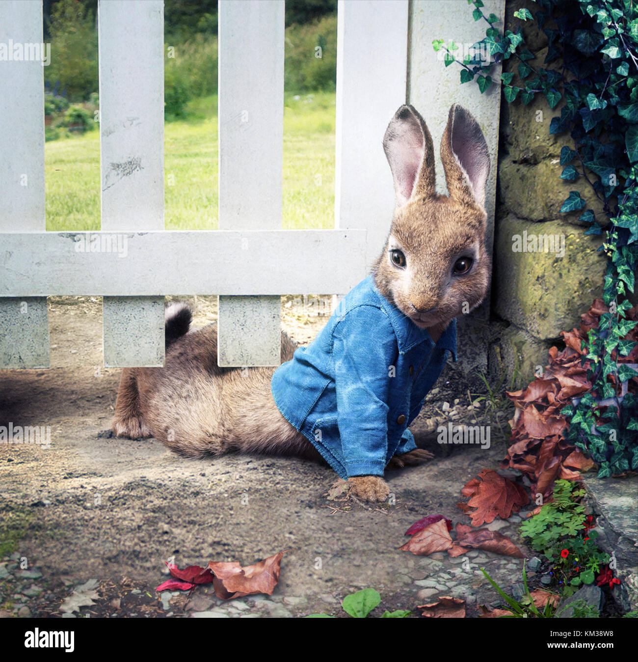 Peter Rabbit is an upcoming 2018 3D live-action/CGI animated adventure  comedy film directed by Will Gluck from a screenplay by Rob Lieber and  Gluck, based on the stories of the character of
