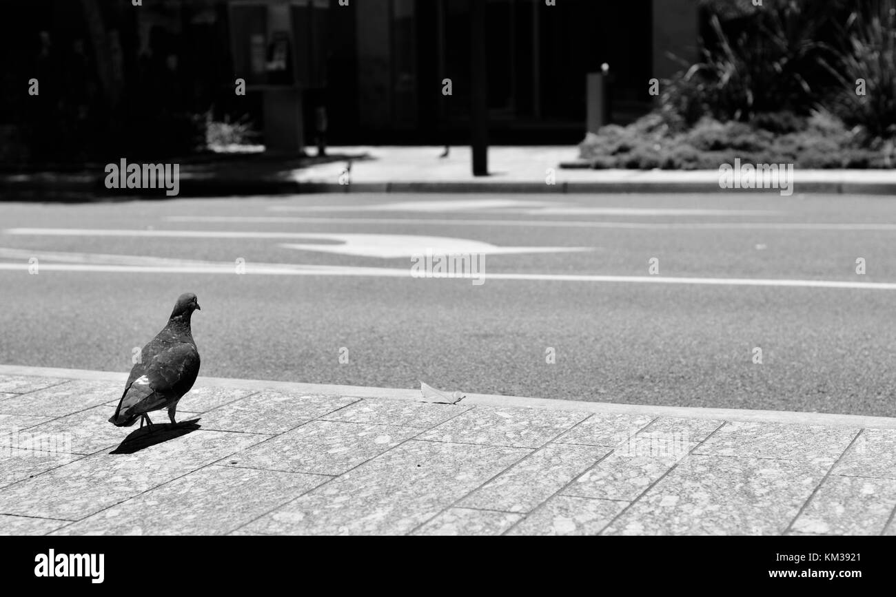 Townsville Black and White Stock Photos & Images Alamy
