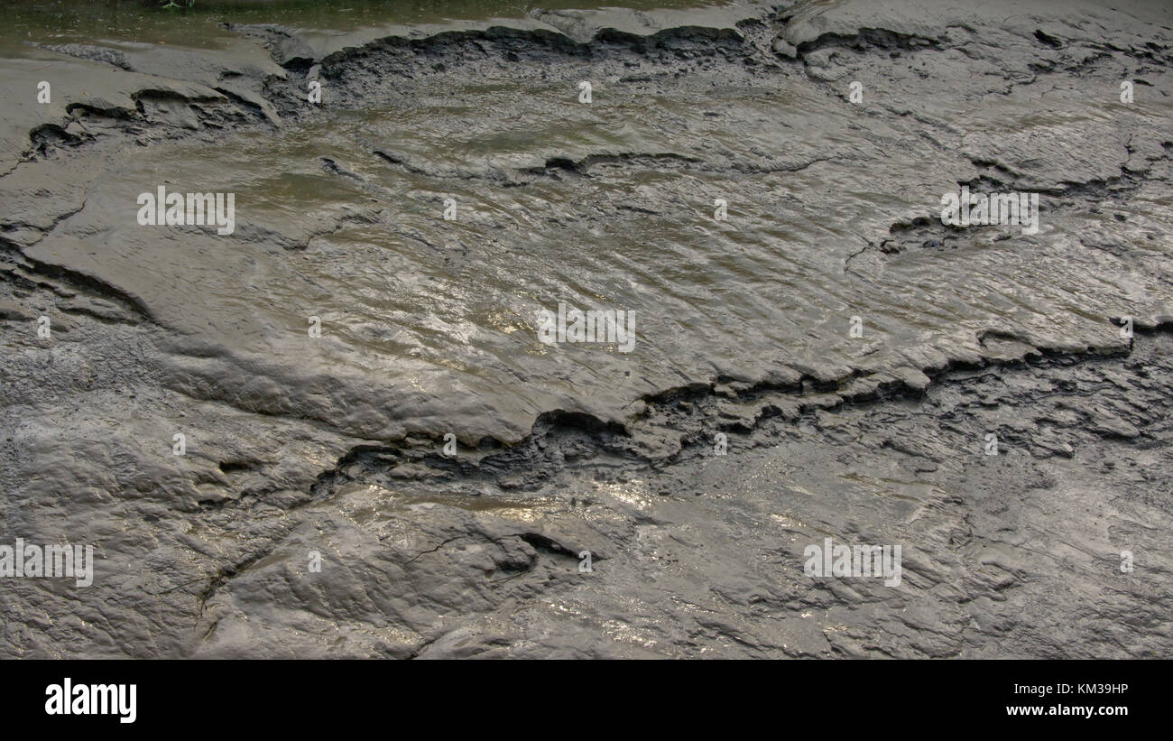 Mud texture, wet dark brown clay soil with texture formed by river