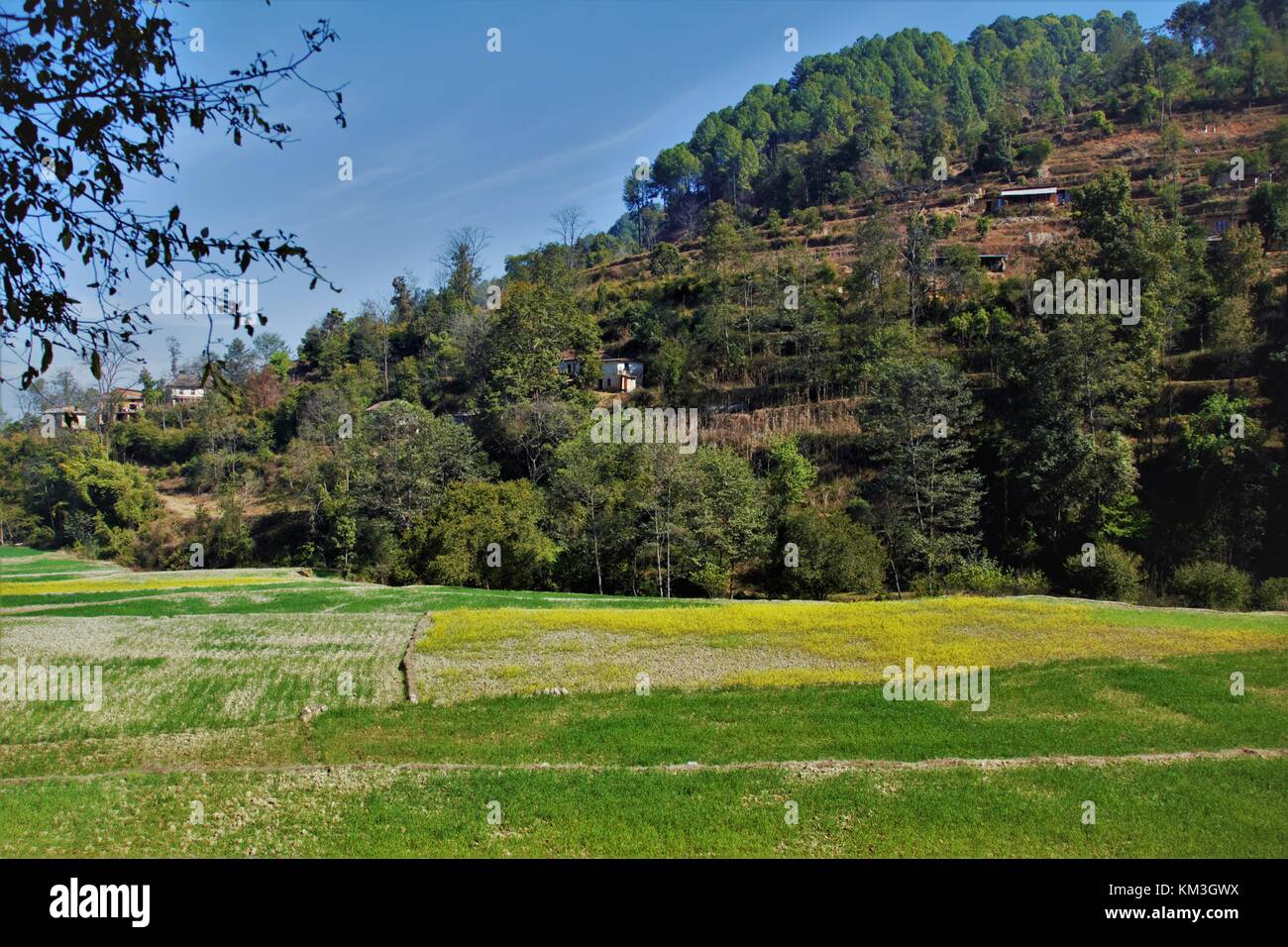 Remote Farm Field Stock Photo Alamy