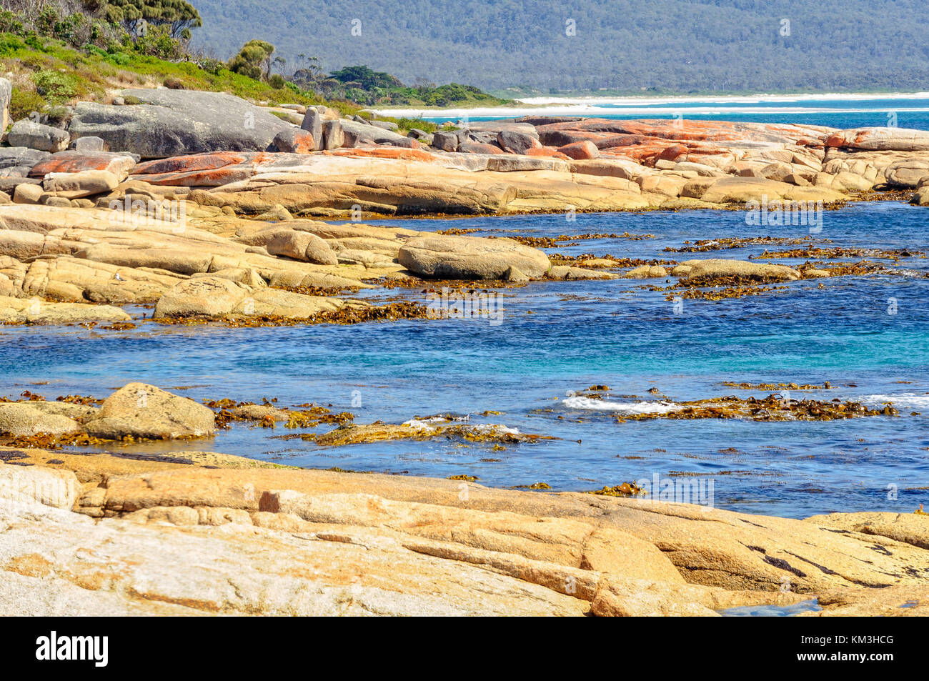 Blue water and red rocks coloured by lichen - Bicheno, Tasmania ...
