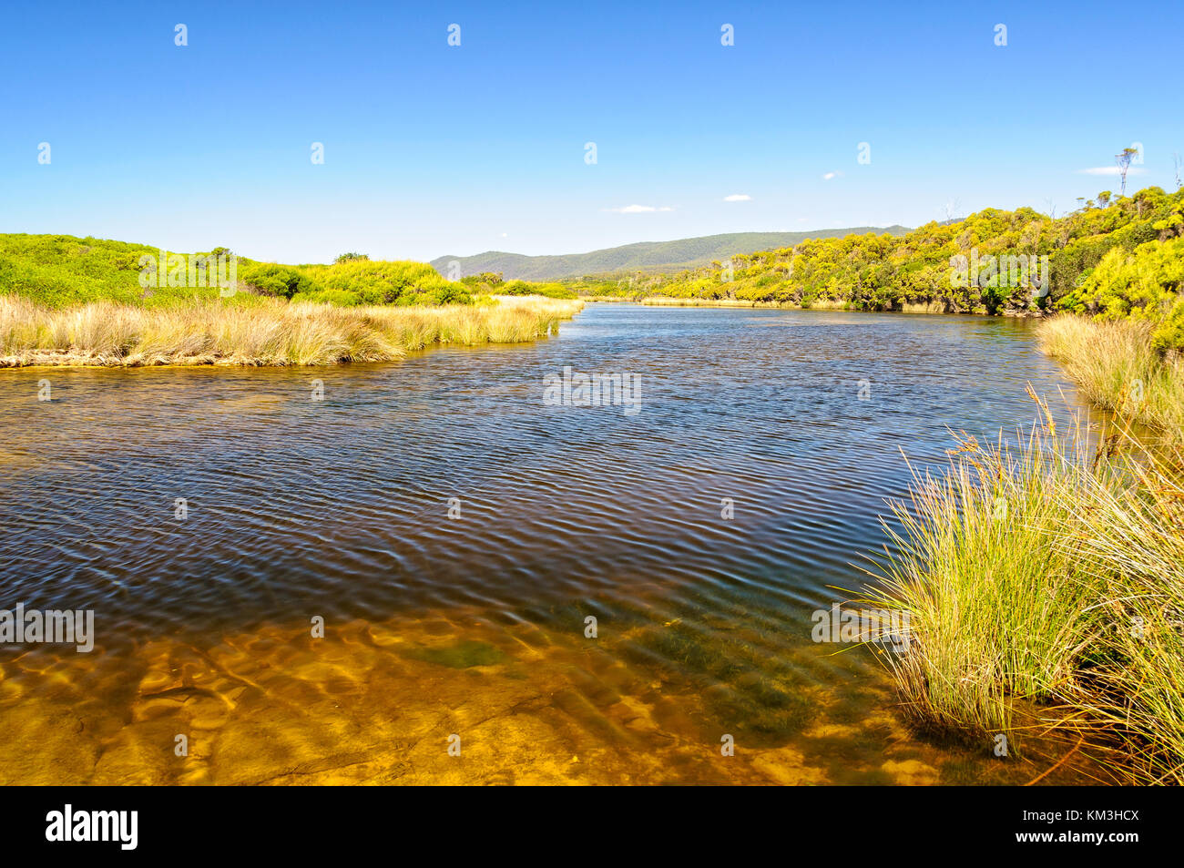 Little Beach Creek in Chain of Lagoons on the East Coast of Tasmania, Australia Stock Photo