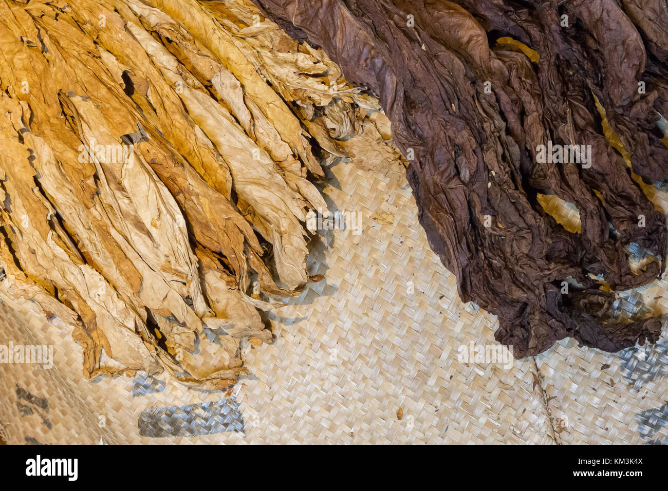 the smell of tobacco Everything You Need to Know About Cigarette Odor Removal