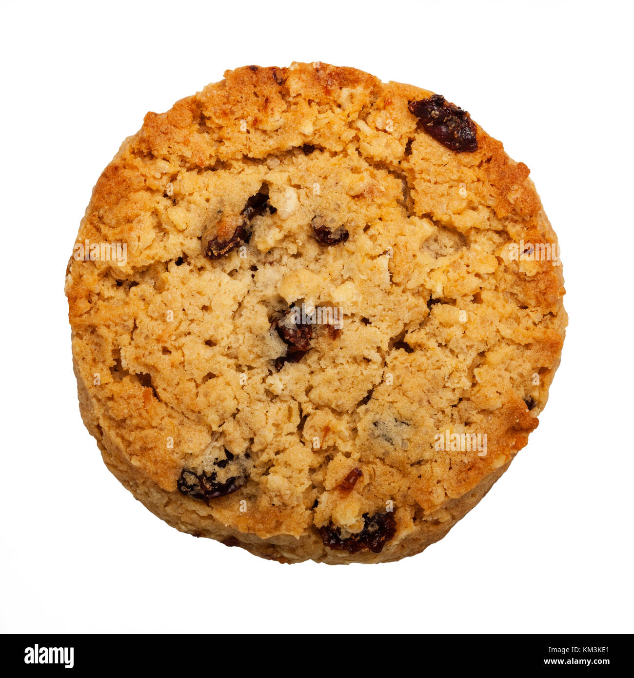 A Fruit and Oat Cookie on a white background Stock Photo Alamy