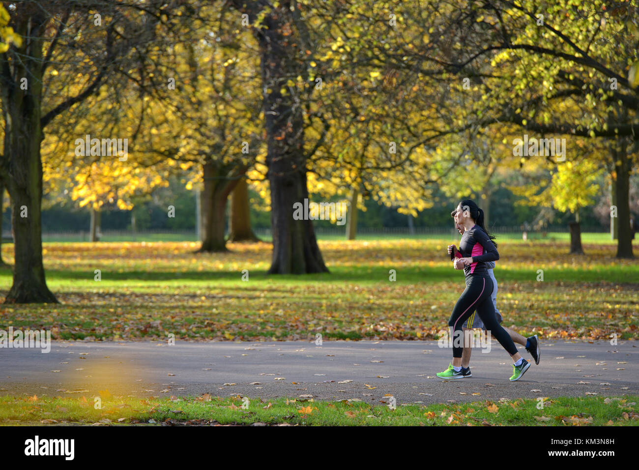 Joggers in Kensington Gardens, London, on an autumn day. Stock Photo