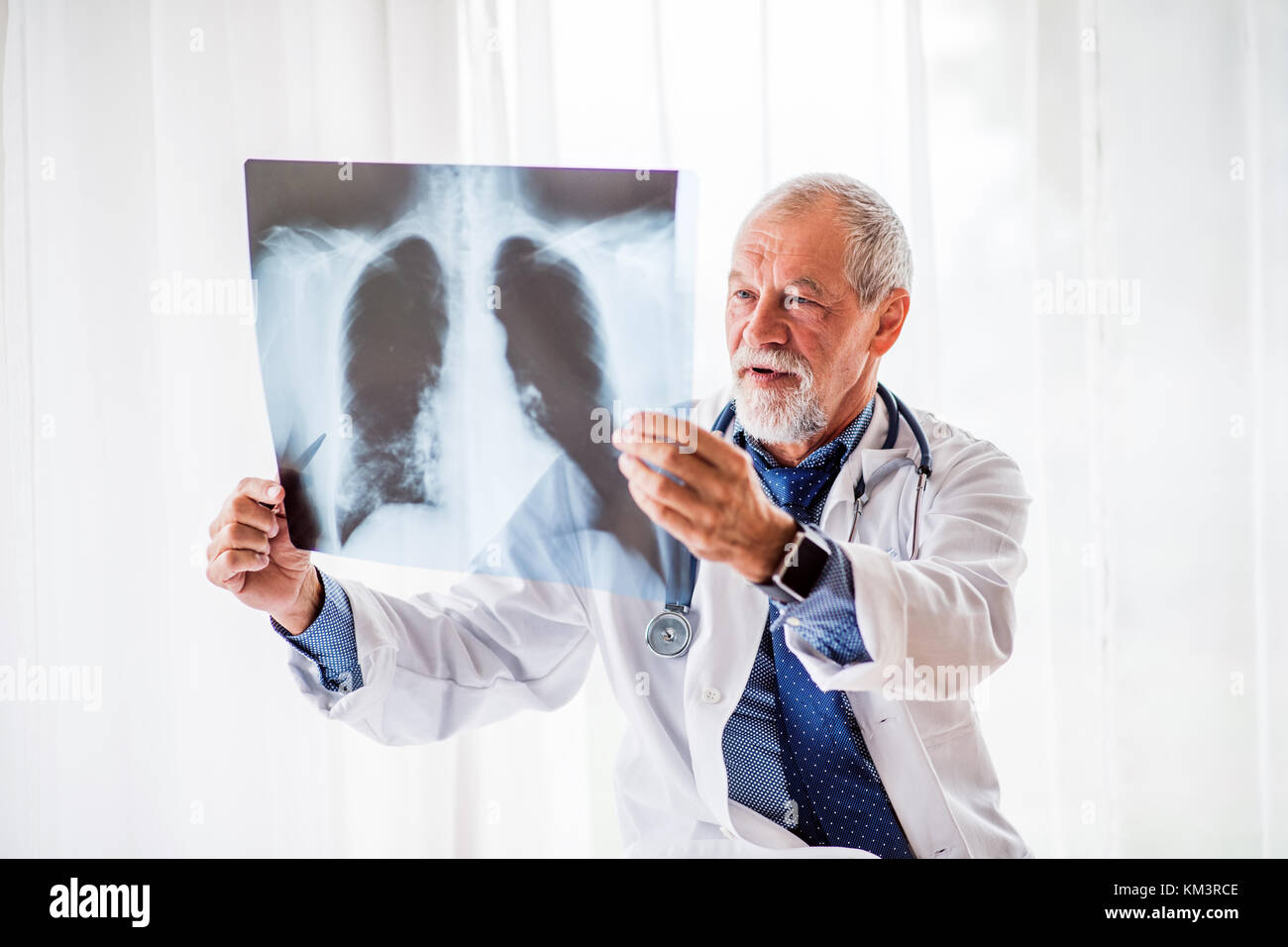 Senior doctor looking at chest xray in office Stock Photo Alamy