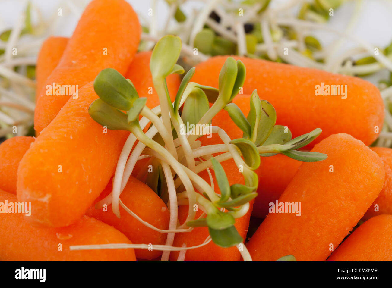 Fresh alfalfa sprouts and carrot isolated on white background Stock