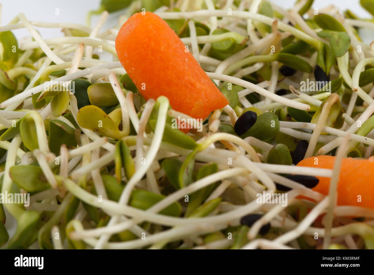 Fresh alfalfa sprouts and carrot isolated on white background Stock