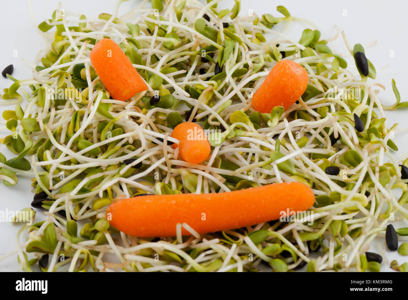 Fresh alfalfa sprouts and carrot isolated on white background Stock